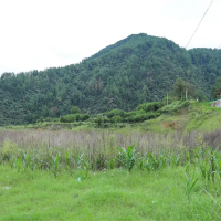 嚴厲打擊盜采盜挖礦產資源行為！國務院安委辦派出工作組明查暗訪